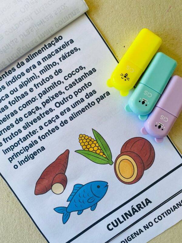 Flipbook Dia dos Povos Indígenas - Imagem 7