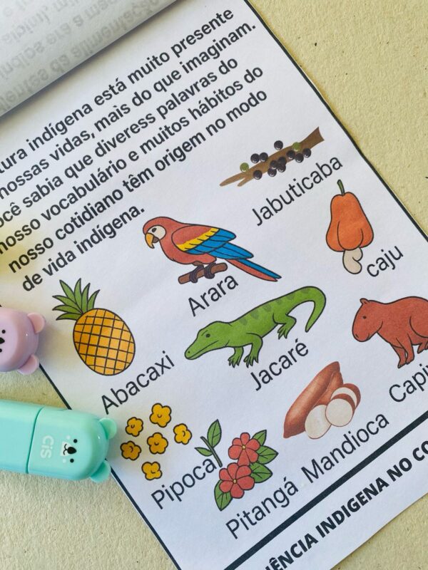 Flipbook Dia dos Povos Indígenas - Imagem 6
