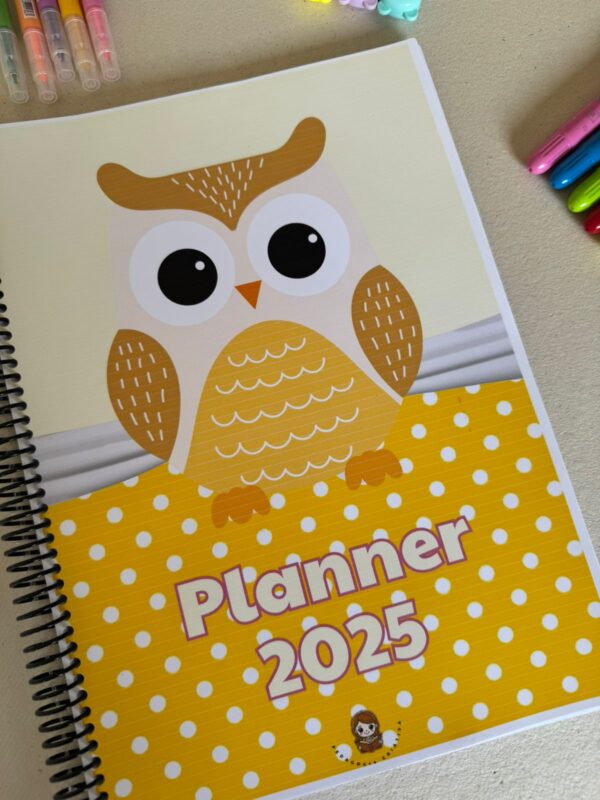 Planner Professor 2025 (editável pelo canva pró ou educação )